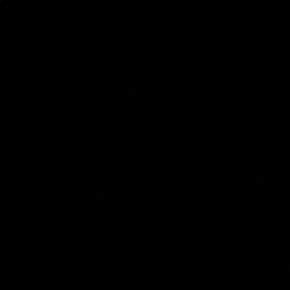 Meet your Posher, Coco - Picture 1 of 1